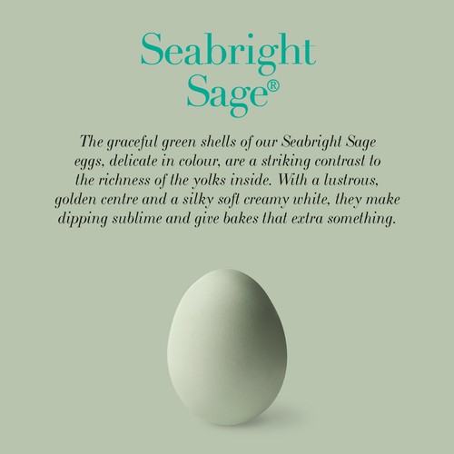 Clarence Court  Seabright Sage 6 Free Range Eggs