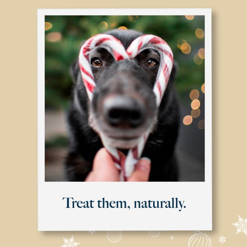 Hollings Christmas Cracker Festive Fishes Sprats Dog Treats