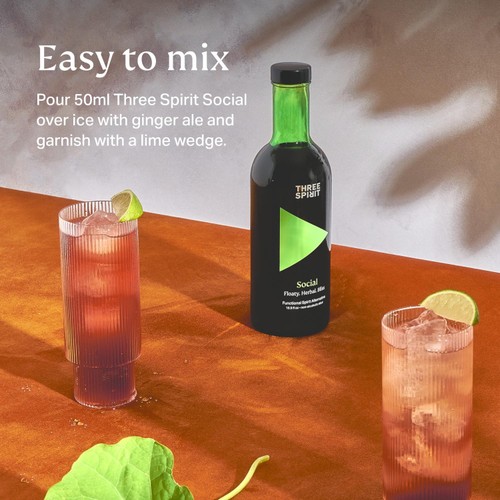 Three Spirit Social Functional Non-Alcoholic Spirit Alternative