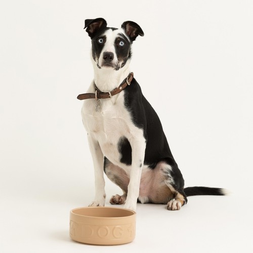 Mason Cash Lettered Dog Bowl 18cm