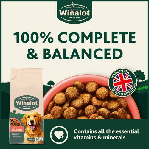 Winalot Adult Salmon Dry Dog Food