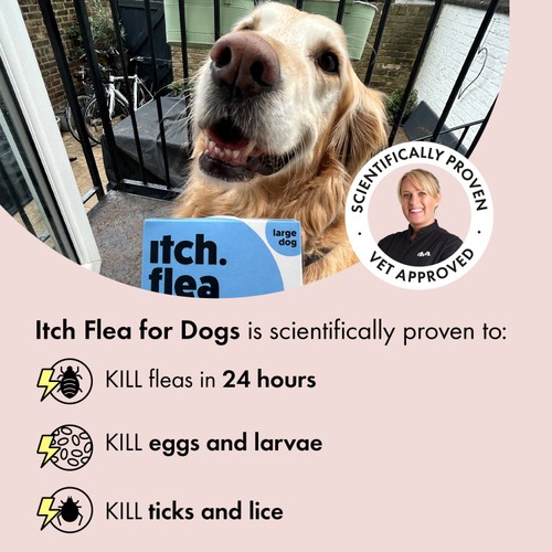 Itch Flea & Tick Treatment for Small Dogs (2-10kg) 4 pack)