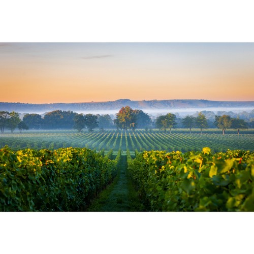 Nyetimber Classic Cuvee NV