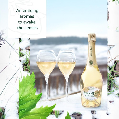 Perrier Jouet Blanc de Blanc Champagne
