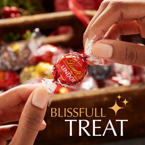 Lindt Lindor Assorted Chocolate Truffles Box
