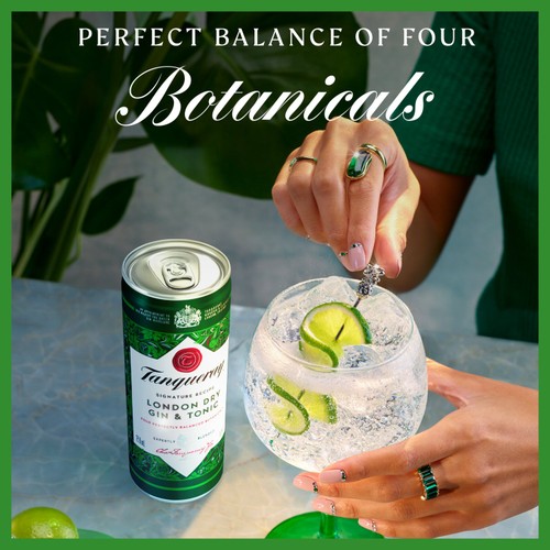 Tanqueray London Dry Gin & Tonic Ready to Drink Can