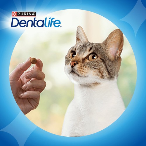 Dentalife Dental Chicken Cat Treats 