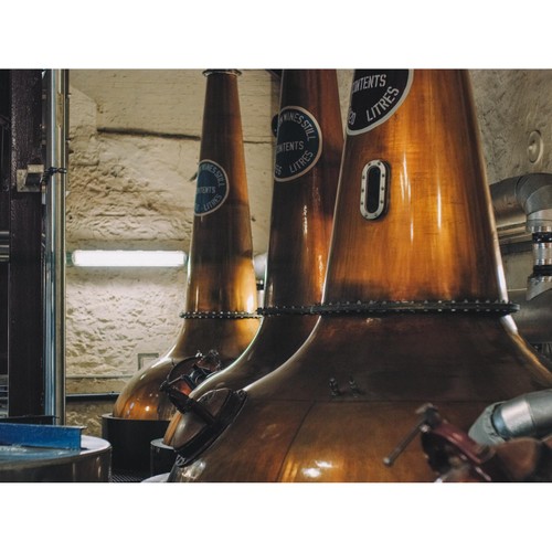 Bushmills 12 Year Old Single Malt Irish Whiskey