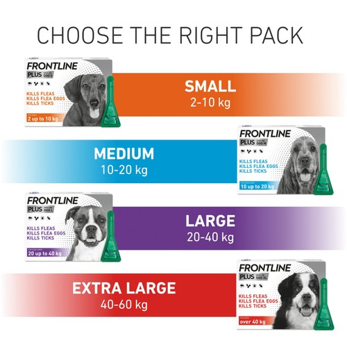 FRONTLINE Plus Flea & Tick Treatment Medium Dog 10-20kg