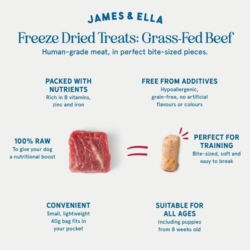 James & Ella Dog Treats - Beef