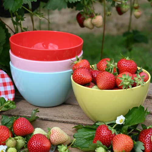 Summerhouse Strawberries & Cream Set of 4 Reusable Bowls 