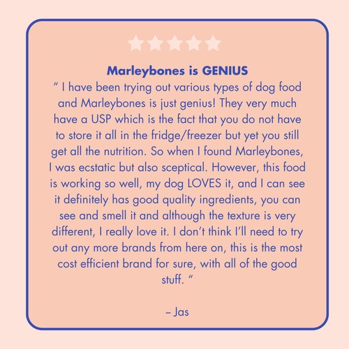 Marleybones Wet Dog Food - Salmon & Superfoods