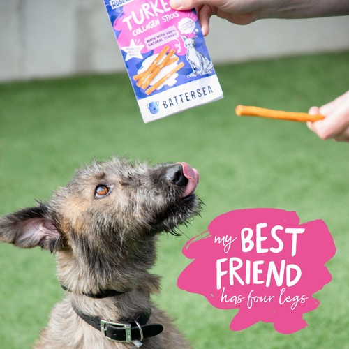 Battersea Turkey & Chicken Collagen Sticks