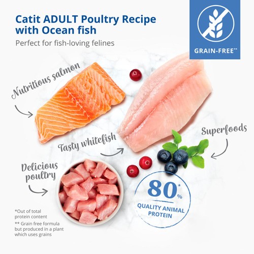 Catit Recipe Dry Adult Oceanfish