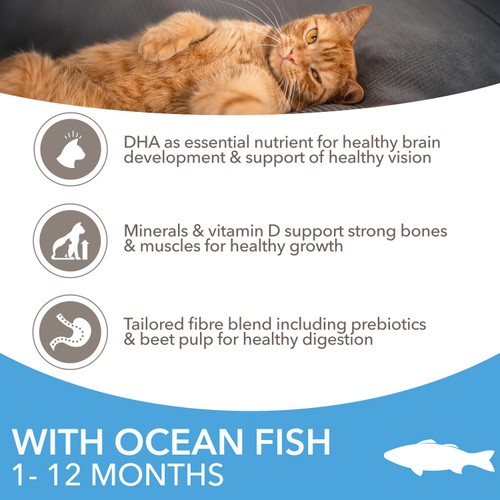 IAMS 1-12 Months Kitten Dry Cat Food Ocean Fish