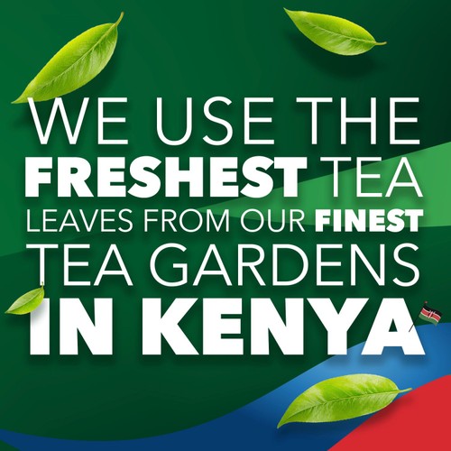 PG Tips 240 Black Tea Plant based biodegradable tea bags