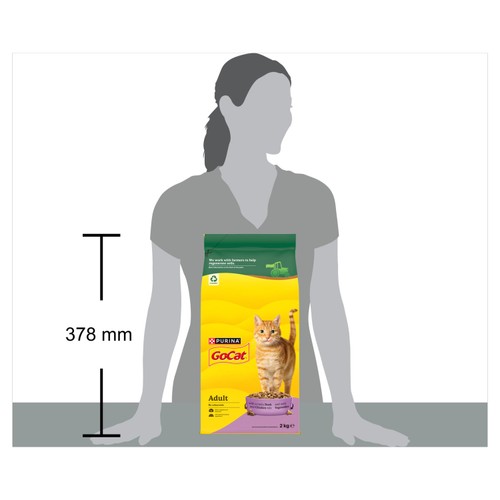 Go-Cat Chicken & Duck Dry Cat Food 