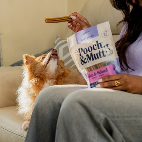 Pooch and Mutt Calming Dental Sticks For Dogs