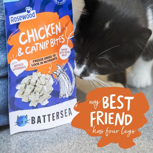 Battersea Chicken & Catnip Freeze Dried Bites