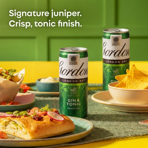 Gordon's Gin & Tonic