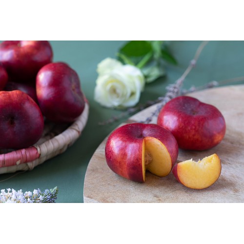 Ondine Ripen at Home Flat Nectarine