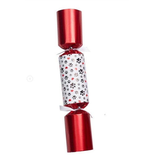 Christmas Cracker for Pet Dog