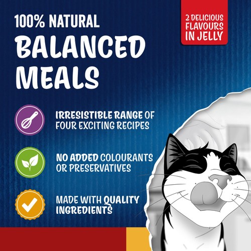 FELIX Doubly Delicious Countryside Selection in Jelly Wet Cat Food