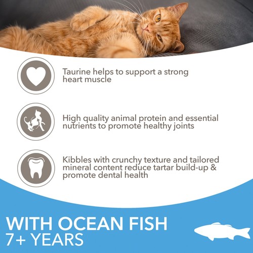 IAMS Advanced Nutrition Senior Cat Food With Ocean Fish