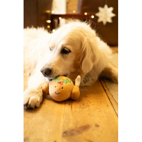 Petface Tasha Turkey Plush Dog Toy