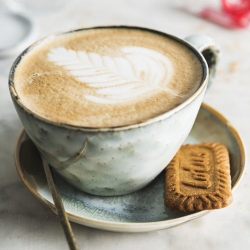 Lotus Biscoff Biscuits Snack Packs