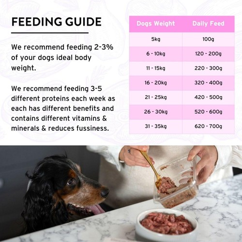 Benyfit Natural Sensitive Complete Raw Dog Food