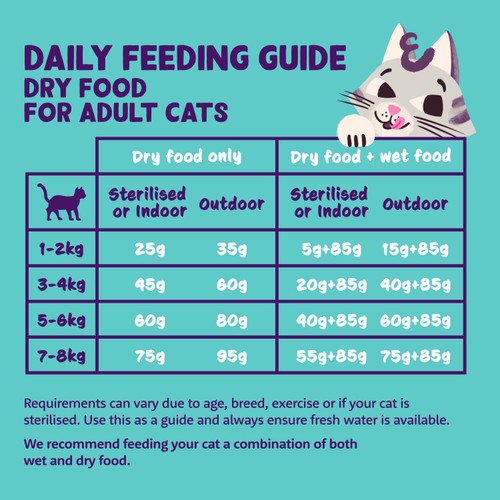 Edgard & Cooper Cat Dry Food Adult Salmon