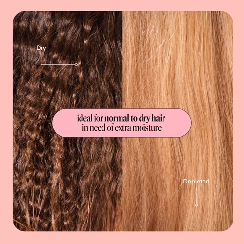 MONDAY Moisture Conditioner