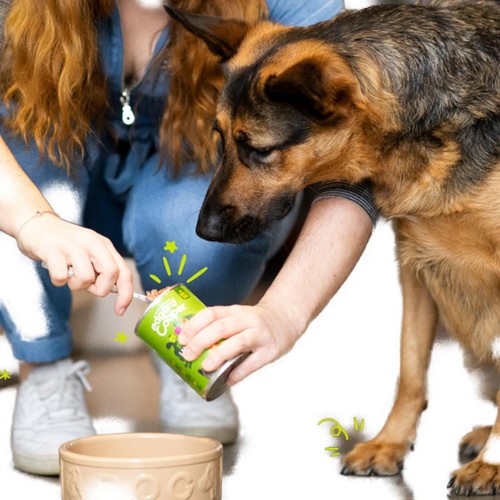 Edgard & Cooper Adult Grain Free Wet Dog Food with Lamb & Beef