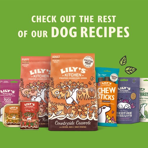 Lily's Kitchen Advent Calendar For Dogs
