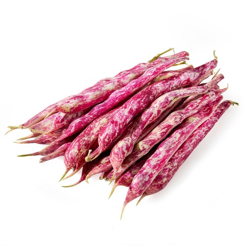 Natoora Italian Borlotti Beans