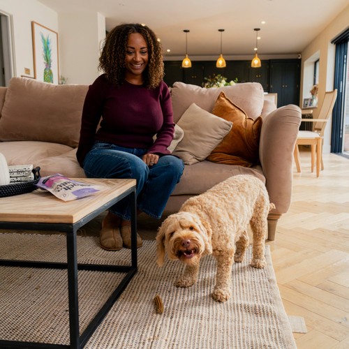 Pooch and Mutt Calming Dental Sticks For Dogs