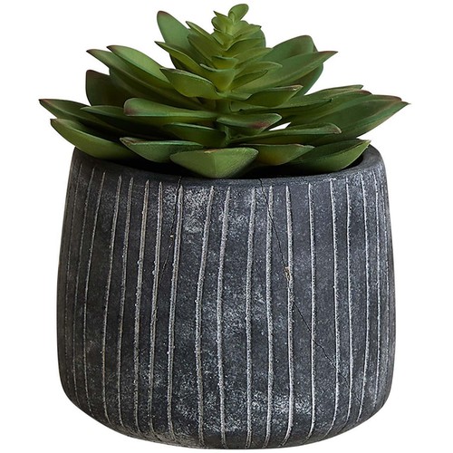 M&S Succulent in Ridged Cement Pot