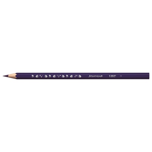 BIC Kids Watercolour Pencils Wallet of 12