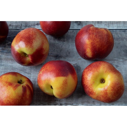 Diamond Crop Ripe and Ready to Eat Nectarine