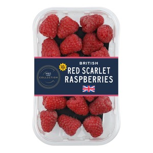 Collection Red Scarlet Raspberries