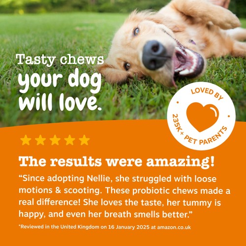 Zesty Paws Probiotic Dog Chews Pumpkin Flavour
