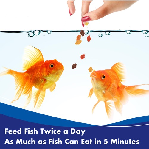 AQUARIAN Goldfish Food Flakes