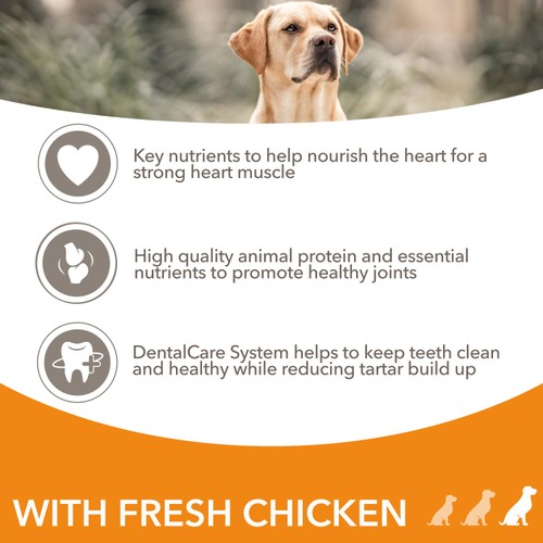 IAMS Advanced Nutrition Senior Dog Food Large Breed with Fresh Chicken