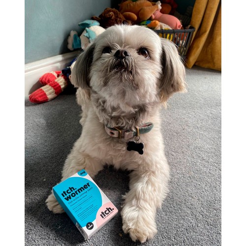 Itch Wormer Tablet Treatment For Dogs (3-20kg)