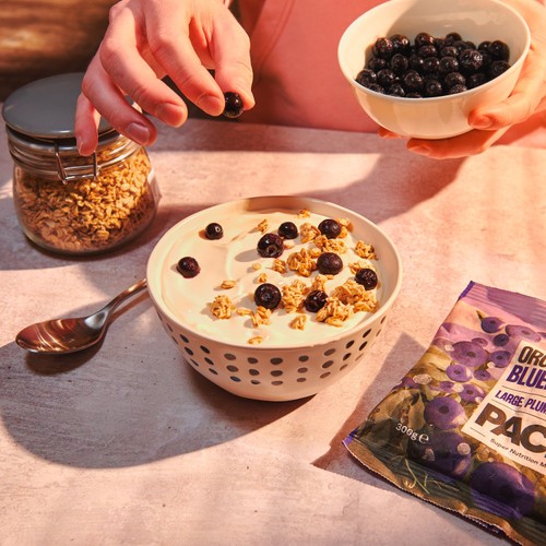 PACK'D Organic & Large Sun-Ripened Blueberries