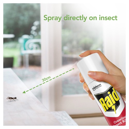 Raid Plant Based Crawling Insect Killer Aerosol Spray