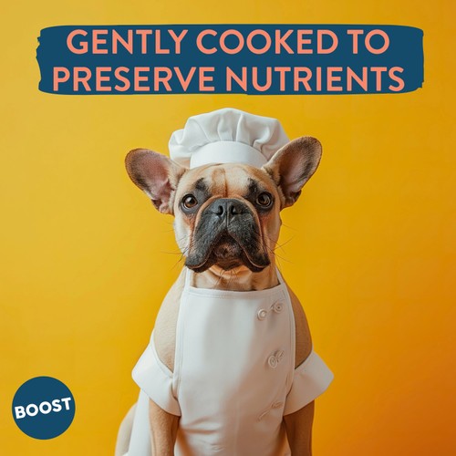 Boost Pet Chicken with Superfoods Meal for Dogs