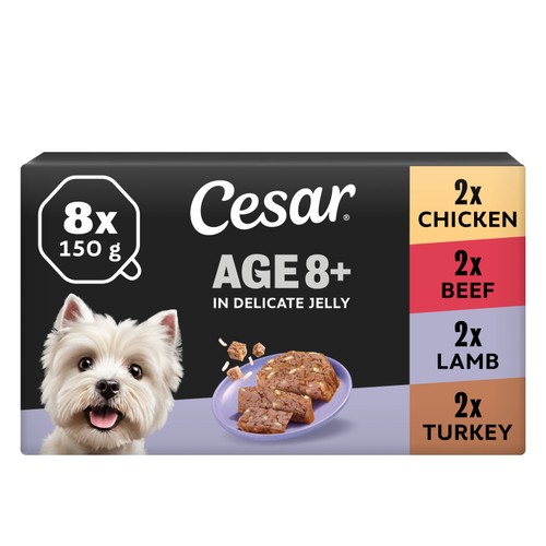Cesar Senior Wet Dog Food Trays Meat in Delicate Jelly 