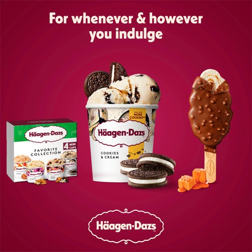 Haagen-Dazs Ice Cream Vanilla Collection
